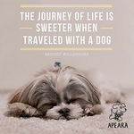 Profile Picture of Michi Moore Photography (hawaii) (@michi moore photography (hawaii)) on Flickr