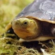 Profile Picture of Janet Majors (@433335265) on Myspace