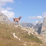 Profile Picture of Richard Bremner (@therealmrrichard) on Instagram