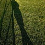 Profile Picture of Matthew Weiner (@weinermatthew) on Instagram