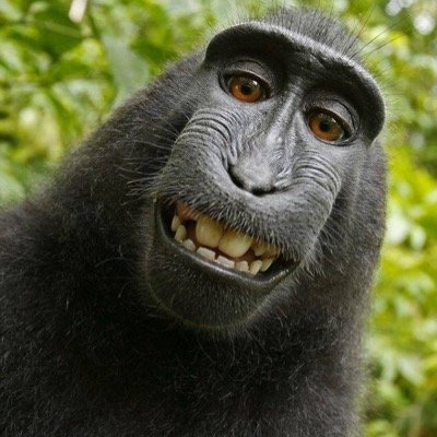 Profile Picture of Brian C. Pérez (@BryanCast1) on Twitter