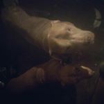 Profile Picture of John Stratton 420 (@john_stratton420) on Instagram