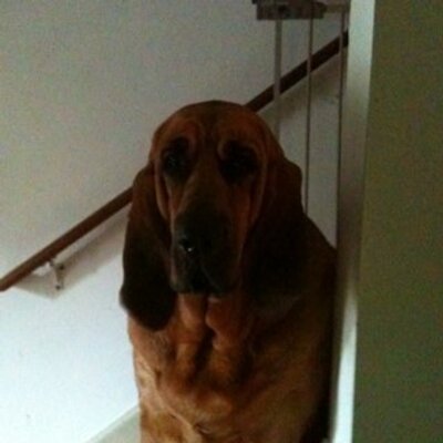 Kyle Flick - Twitter Profile Picture of Kyle Flick (@kyle_flick) on Twitter