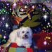 Profile Picture of Joy McAlister (@joy.mcalister.3) on Facebook