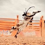 Profile Picture of Danny Lynn Lucas (@danny_lynn1147) on Instagram