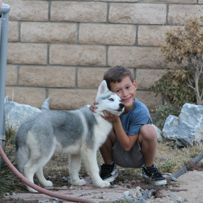 Profile Picture of Ant (@AnthonyIsaacT) on Twitter