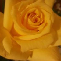 Profile Picture of Tabitha Adams (@tabitha-adams-18) on Quora
