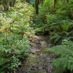 Profile Picture of Alice Redding (@Alice-Redding) on Facebook