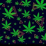 Profile Picture of Aaron Tovar (@aaron.tovar.3382) on Instagram