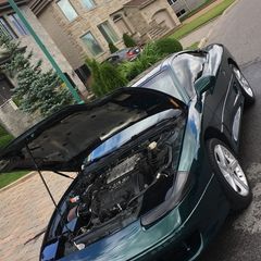 petergiannoumis60 - Tiktok Profile Picture of petergiannoumis60 (@petergiannoumis60) on Tiktok