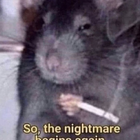 Profile Picture of Francisco Ledesma (@franciscoled547) on Poshmark