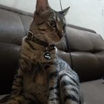 Profile Picture of Mauricio Patiño (@mauro_pg7) on Instagram