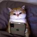 Profile Picture of Cynthia Delatorre (@cynthia.delatorre.1272) on Facebook
