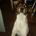 Profile Picture of Mancha Coraje (@mancha.coraje) on Facebook