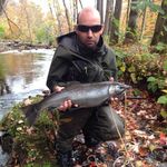 Profile Picture of Joseph LaVorgna (@tobytdi) on Instagram