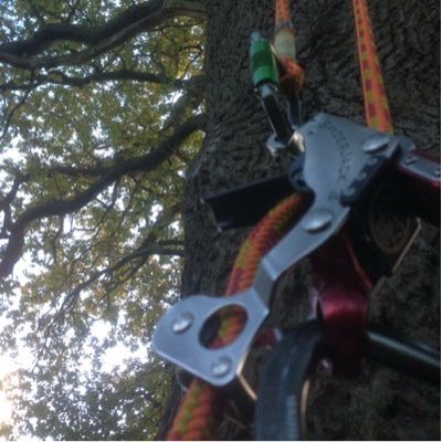 Profile Picture of Andrew Simister (@andrew_simister) on Twitter