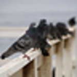 Profile Picture of Postcards to Paris (@Postcards to Paris) on Flickr