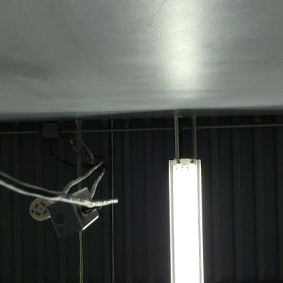 Profile Picture of Mike Rega (@threedawg469) on Twitter