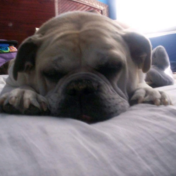 Profile Picture of Ashley Grenke (@ashleygrenke) on Poshmark