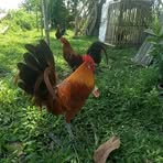 Profile Picture of Andrew Brona (@andrew.brona.2024) on Facebook