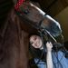 Profile Picture of Alexandria Cedrone (@saddlebredluvr) on Pinterest