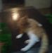Profile Picture of Aaron Hufford (@aaron.hufford.56) on Facebook
