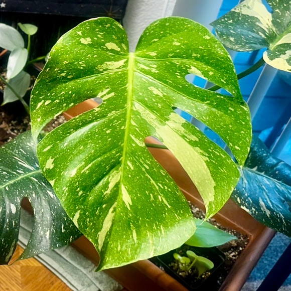 Profile Picture of Erika Springer (@geminiginger42) on Poshmark