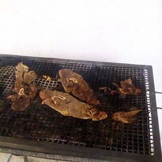 David Renovato - Facebook Profile Picture of David Renovato (@david.renovato.378) on Facebook