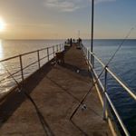 Profile Picture of John Gatsios (@johngatsios) on Instagram