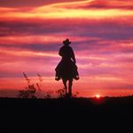 Profile Picture of Andrew Weisberg (@andrew.weisberg) on Instagram