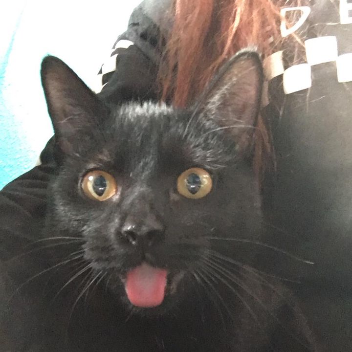 Profile Picture of Phyllis (@phyllisdebates) on Tiktok