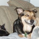 Profile Picture of Gary Farkash (@garyfarkash) on Instagram