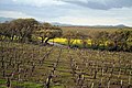 Profile Picture of Livermore Valley AVAon Wikipedia