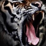 Profile Picture of Melissa putzer (@melissaputzer) on Instagram