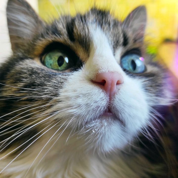 Profile Picture of Andrew_Sk (@andrew_sk) on Tiktok