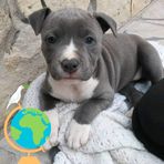 Profile Picture of Dilinger Darel Muñoz (@Dilinger-Darel-Muñoz) on Facebook