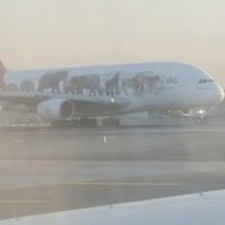 Profile Picture of Feroze Hameed (@feroze_hameed) on Instagram