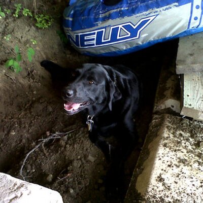 Profile Picture of Quinn Olson (@Quinnolson12) on Twitter