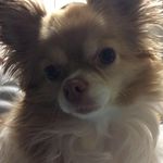 Profile Picture of Martine Scherrens (@martinescherrens) on Instagram