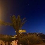 Profile Picture of Michelle Lynn Nipp (@michellelynnnipp) on Instagram