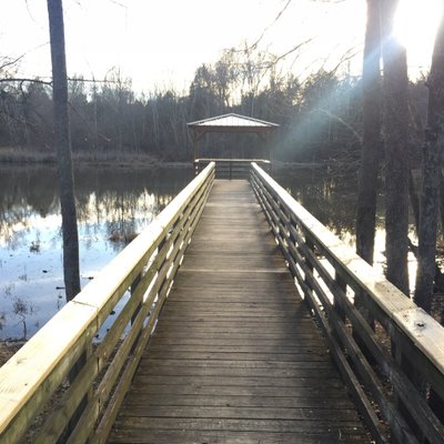 Jason Palermo - Twitter Profile Picture of Jason Palermo (@coachpalermo52) on Twitter