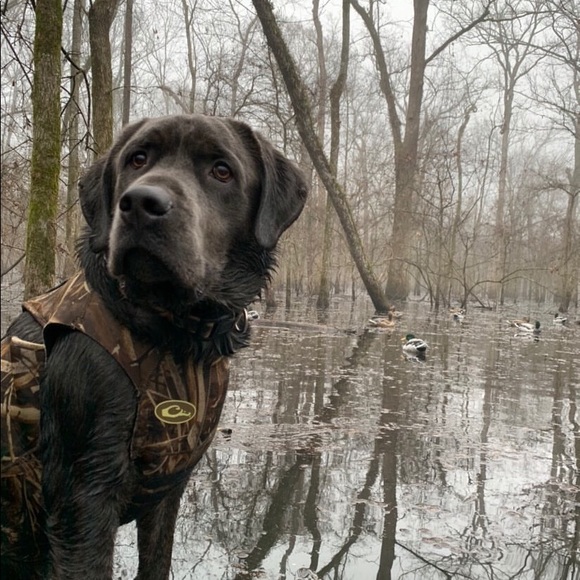 Profile Picture of David Allen (@davidallen471) on Poshmark