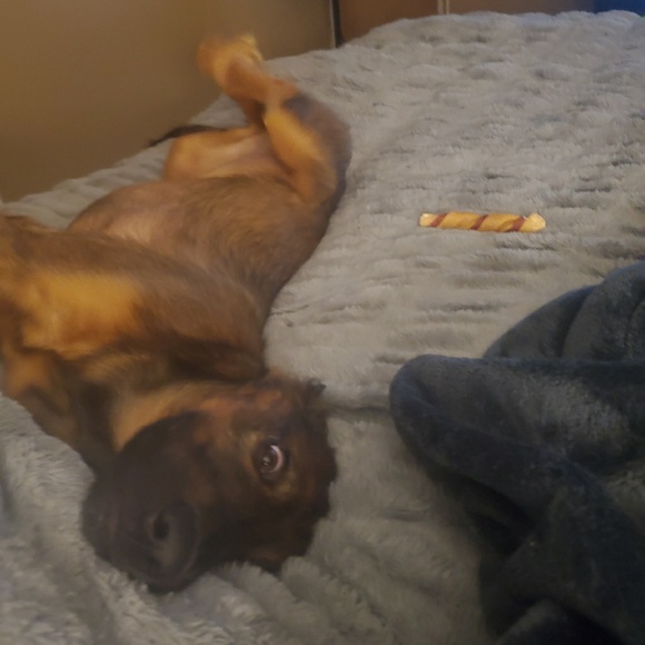 Profile Picture of Kristi Emard (@kristiemard18) on Poshmark