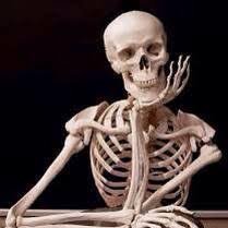 Profile Picture of Nicolas Arriaga (@Nicolas85739098) on Twitter