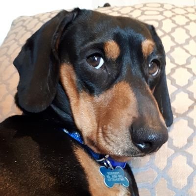 Profile Picture of Dave Herbert (@DaveHerbert3) on Twitter