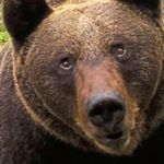 Profile Picture of Lorenzo Jimenez Alcaraz (@lorjimalc) on Instagram