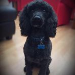 Profile Picture of Susan Fearn (@susan.fearn.370) on Facebook