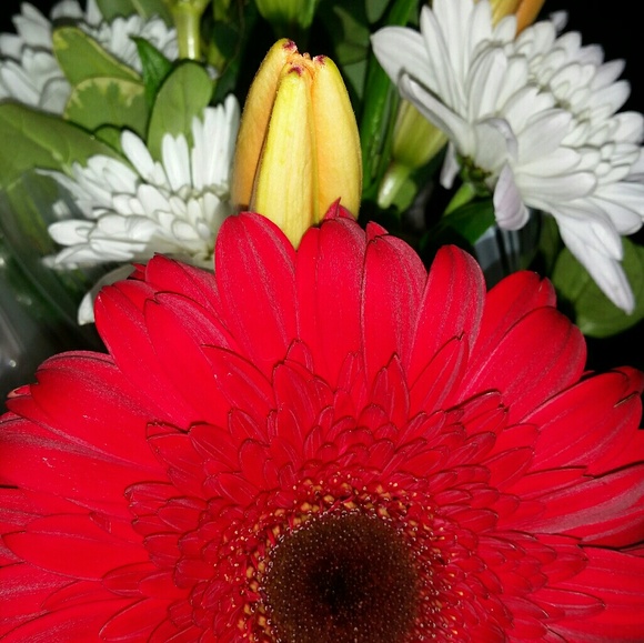 Profile Picture of Rachel Mcleese (@rachel7268) on Poshmark