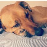 Profile Picture of benjamin_bilbrough11 (@benjamin_bilbrough11) on Instagram