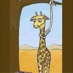 Profile Picture of Kim Sear (@kim.sear.5099) on Facebook